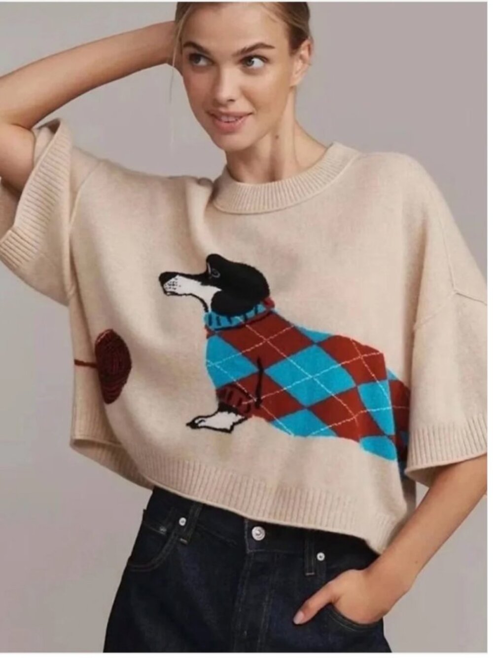 Anthropologie Cashmere dachshund dog graphic sweater size L